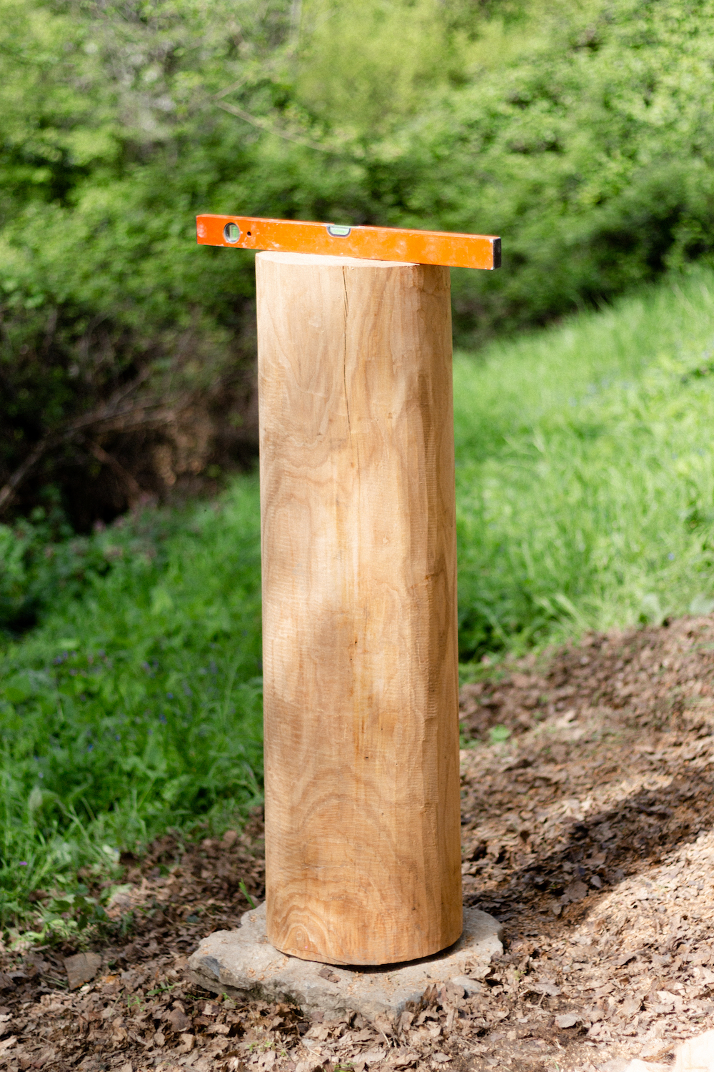 Photo by Antônio Frederico Lasalvia